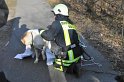 Hund und Frauchen im Eis eingebrochen Koeln Dellbrueck Hoehenfelder See P16